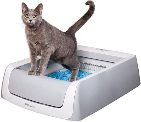 cheap electric litter box|affordable self cleaning litter boxes.